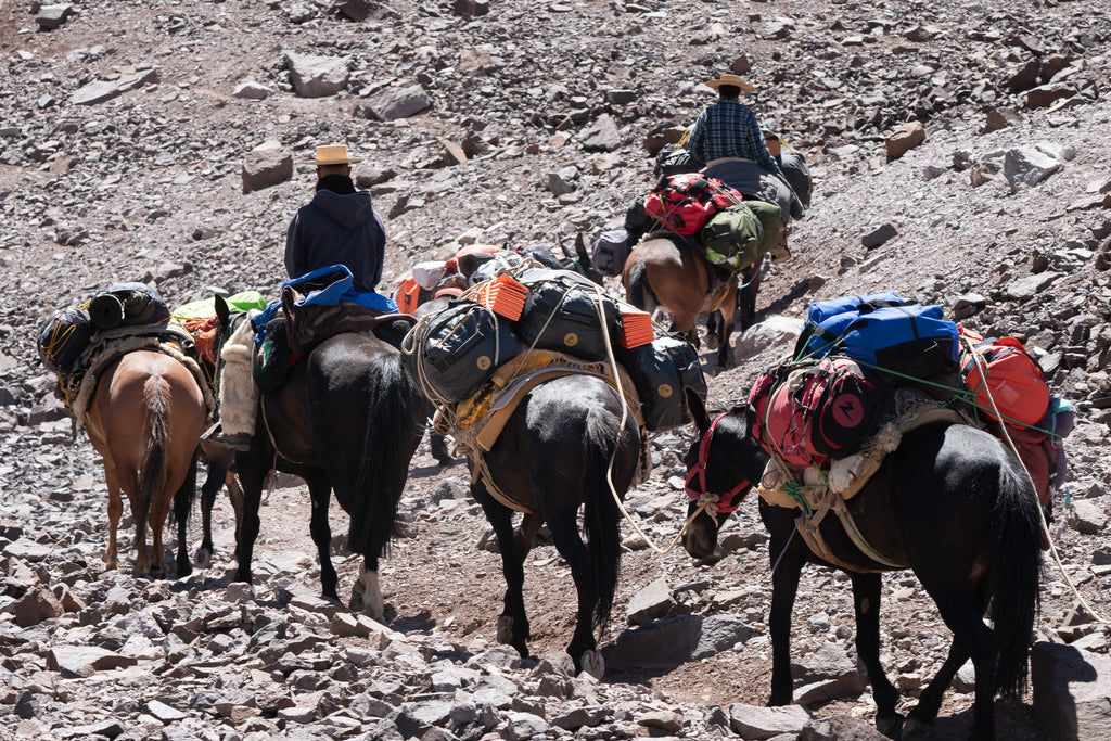 Expedición Cerro El Plomo