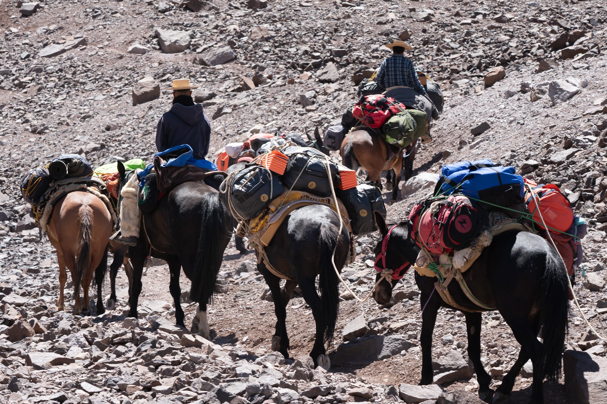 Expedición Cerro El Plomo