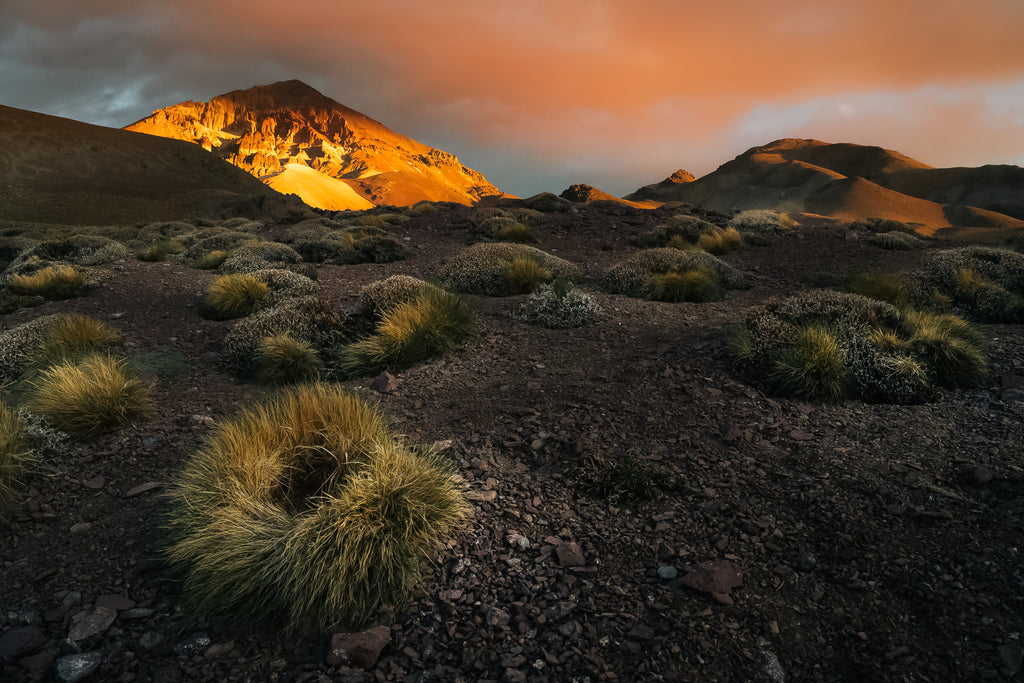 Expedición Cerro Las Tórtolas