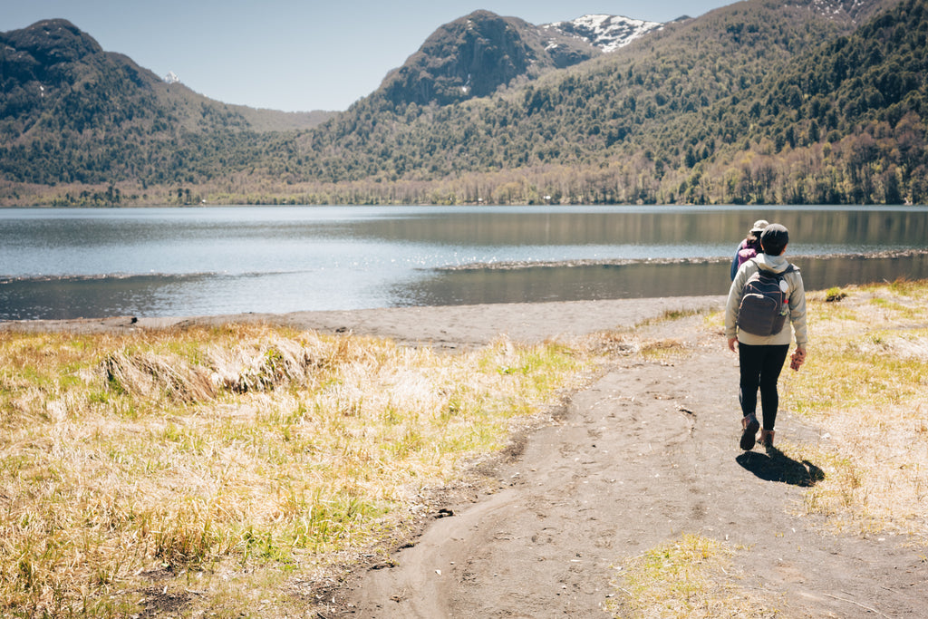 Sendero Lagos Andinos (PN Villarrica)