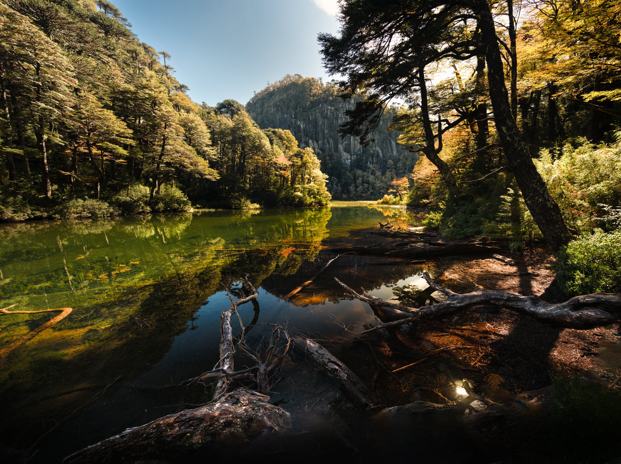 Sendero Los Lagos