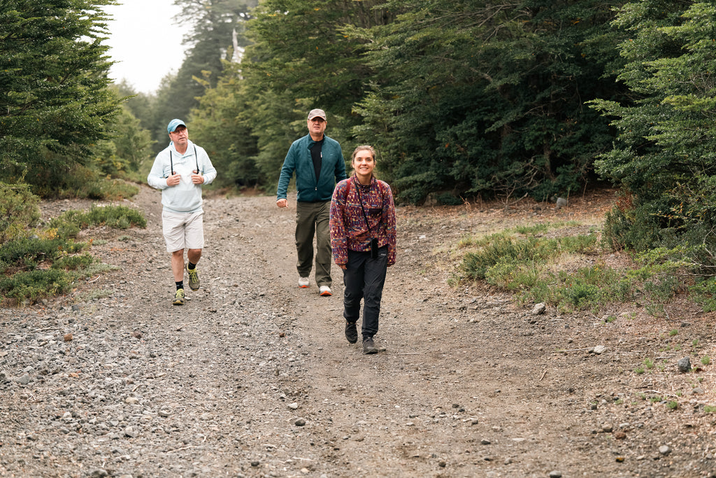 Sendero Mirador Glaciar Voipir
